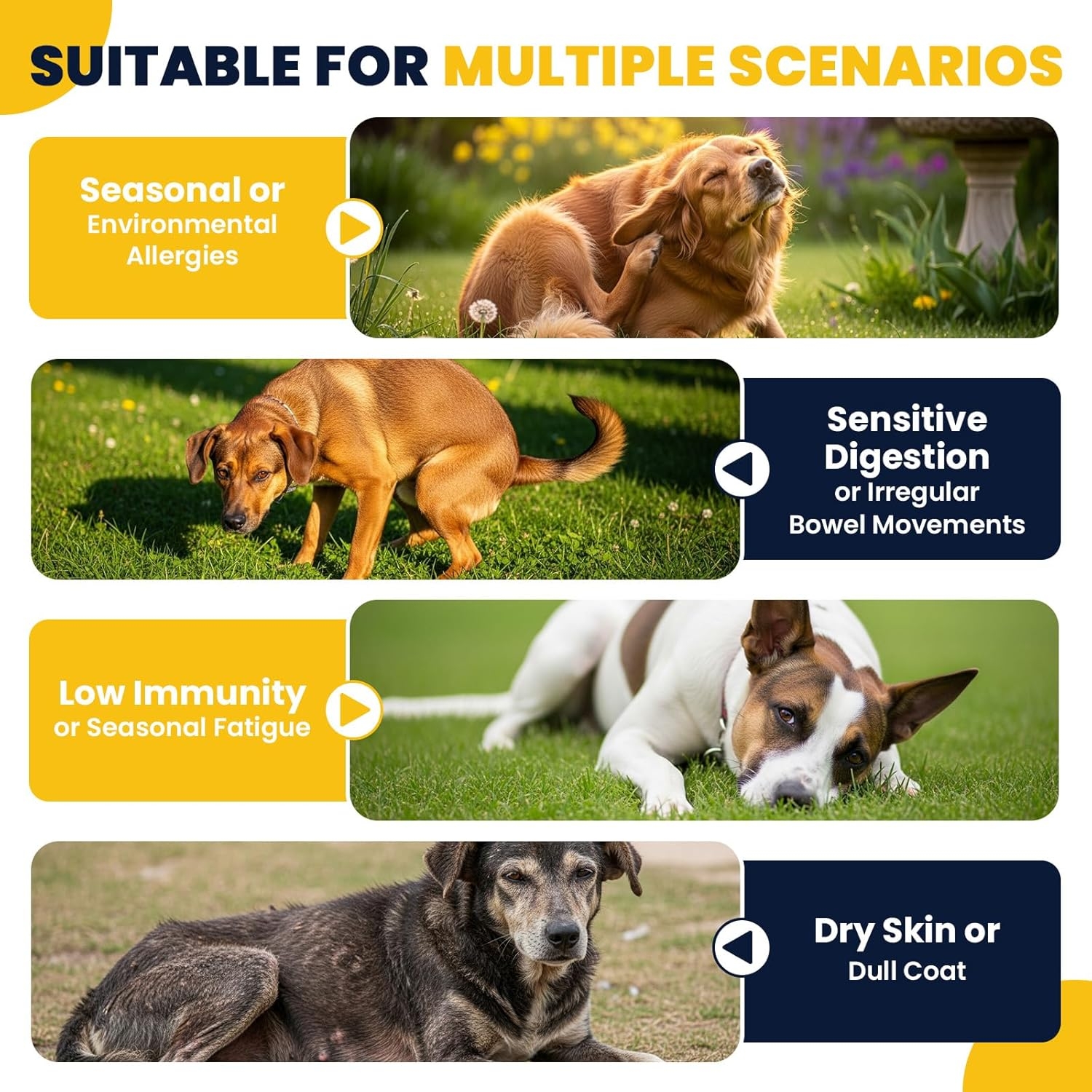 Dog Allergy Chews suitable scenarios for allergy, digestion, immunity, and dry skin support
