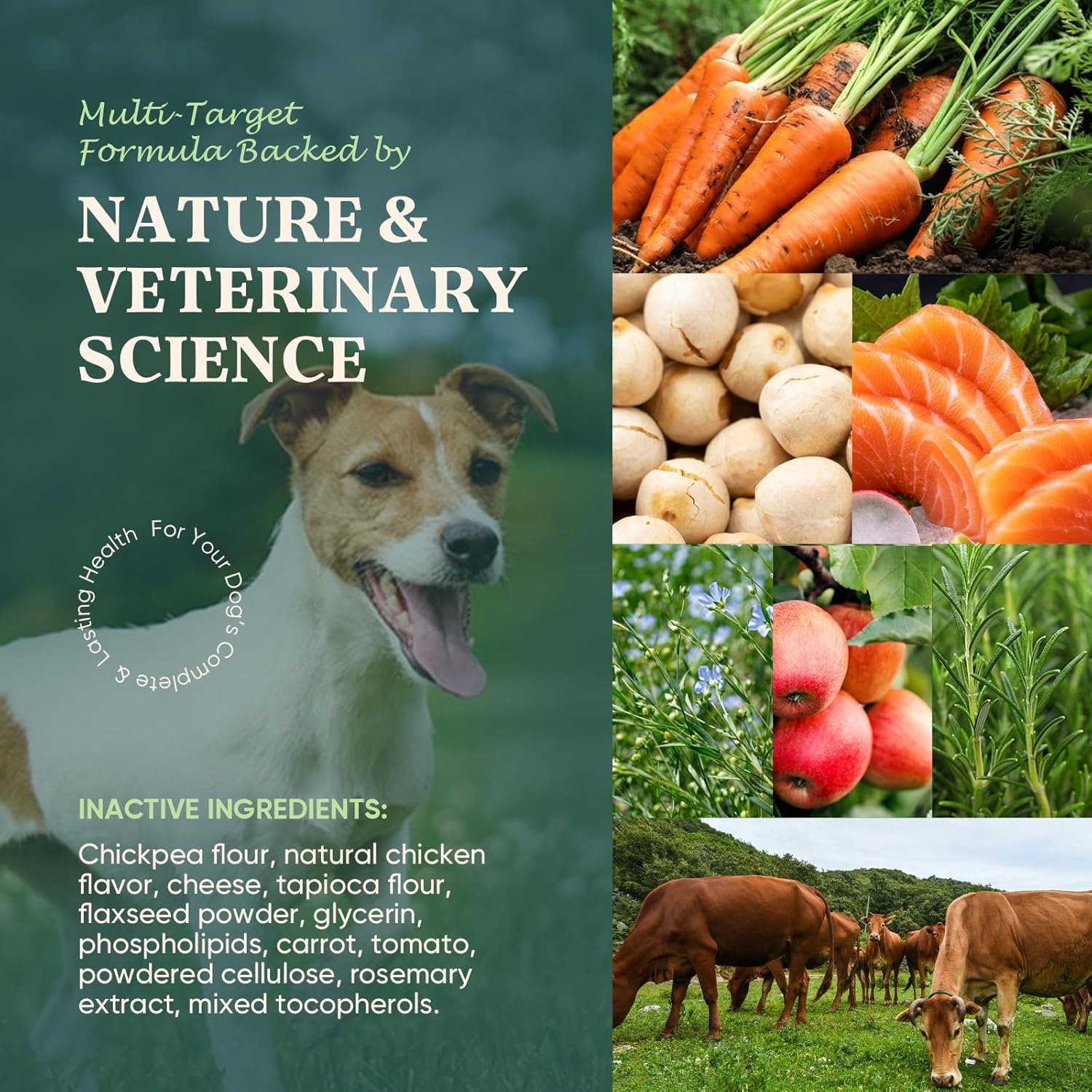 Nature and veterinary science ingredient collage for complete dog health