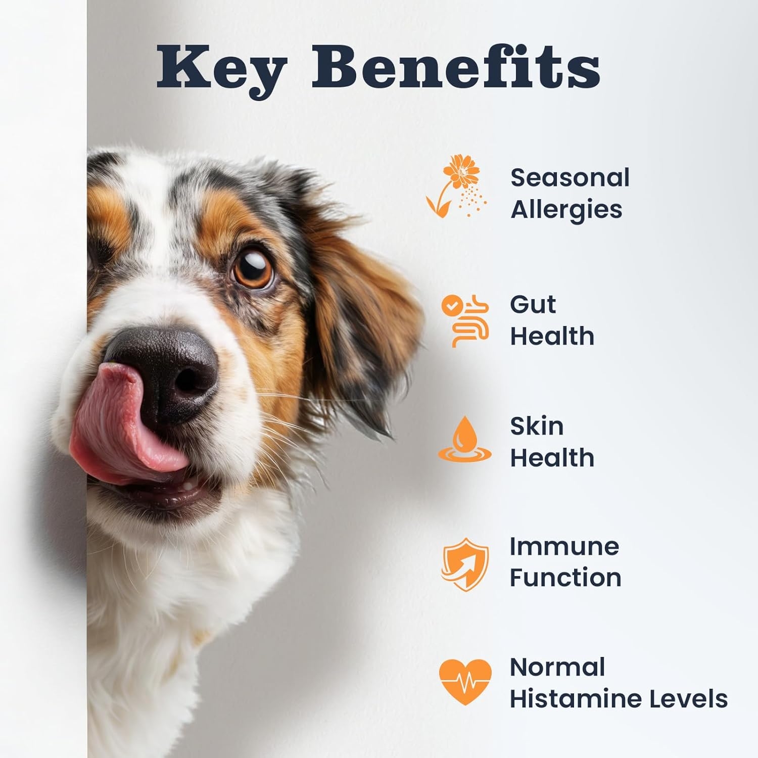 Key benefits for seasonal allergies, gut health, skin health, immune function, and histamine levels